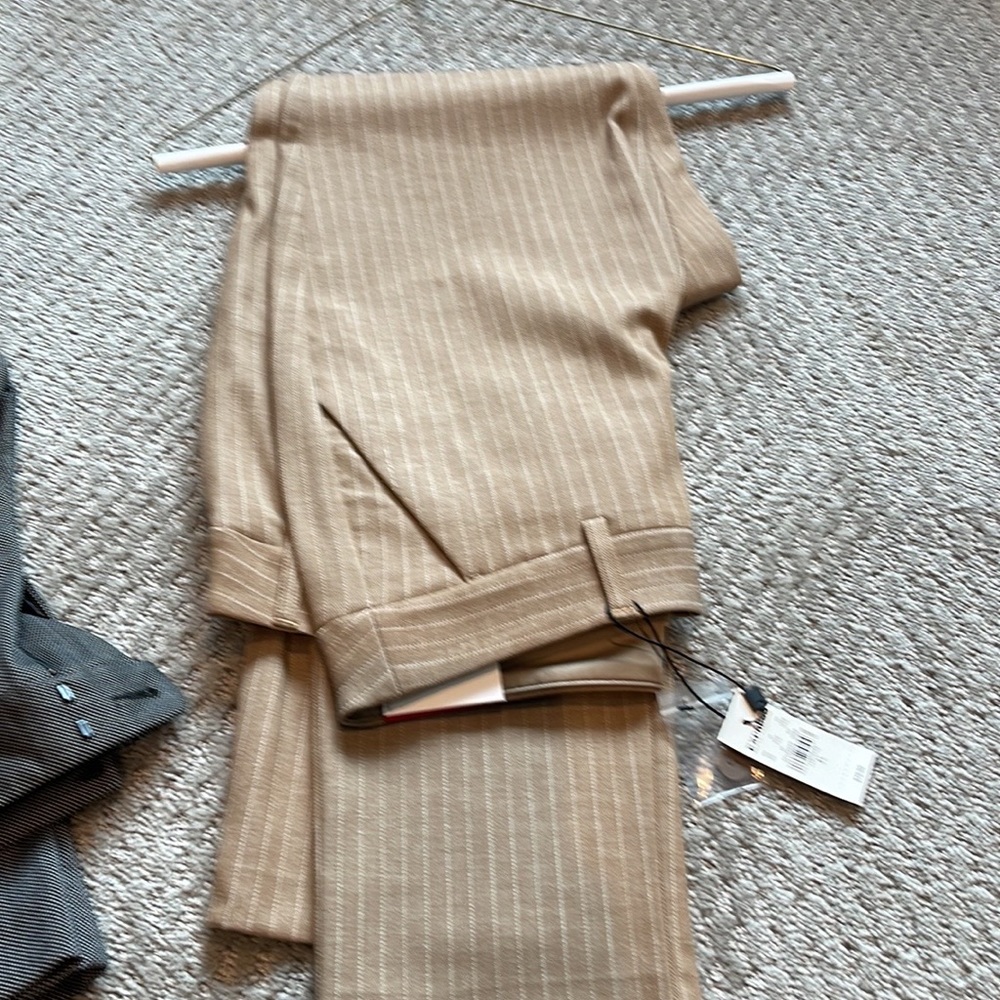 Express pants multiple pairs brand new